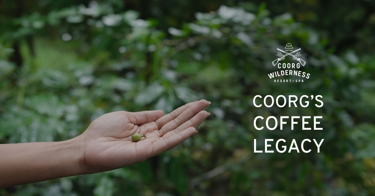 Coorg's Coffee Legacy - A Blend of Tradition and Modern Brewing Styles