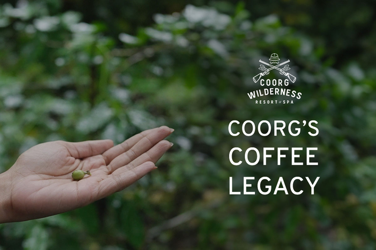 Coorg's Coffee Legacy - A Blend of Tradition and Modern Brewing Styles