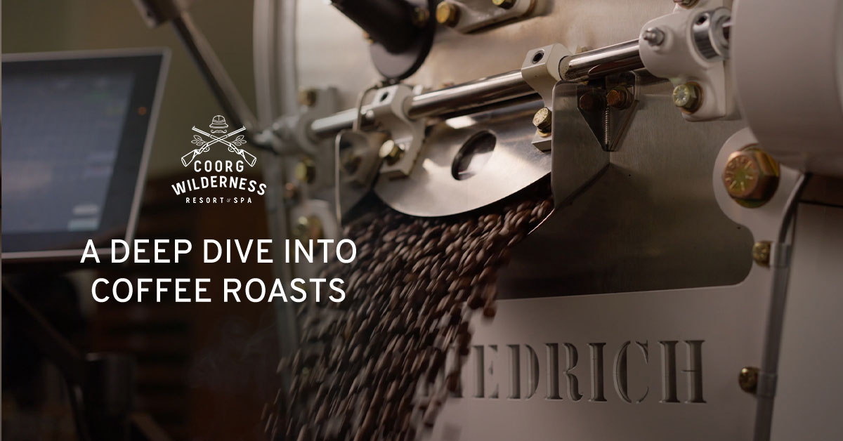 From Light to Dark - A Guide to Coffee Roasts and Brewing Techniques