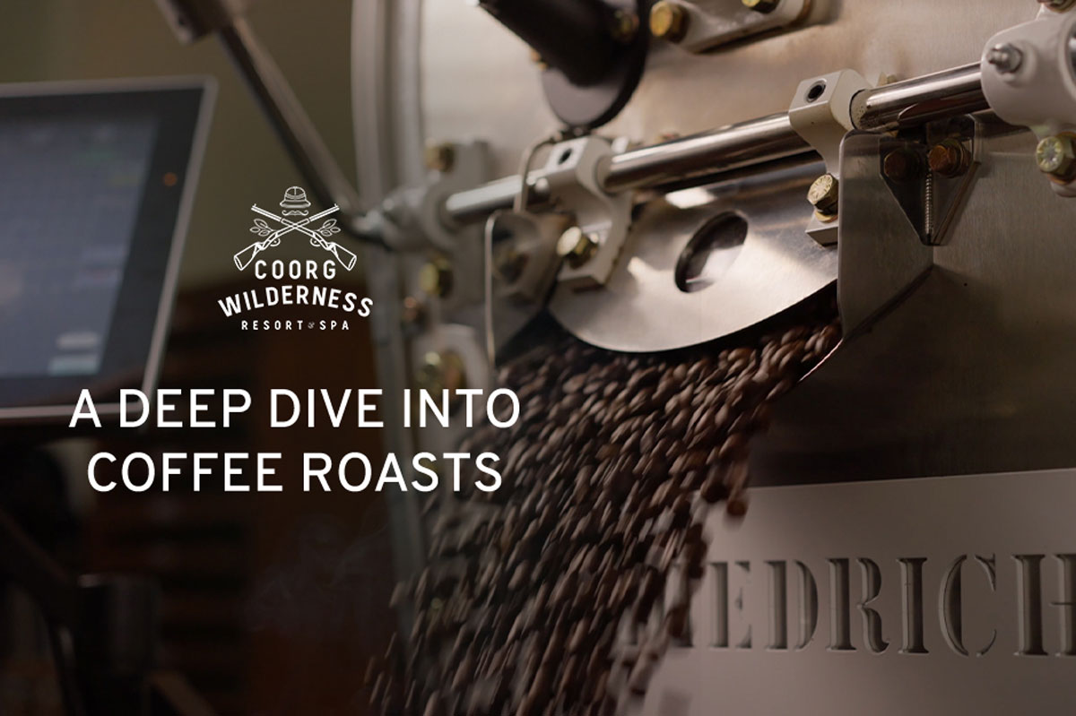 From Light to Dark - A Guide to Coffee Roasts and Brewing Techniques